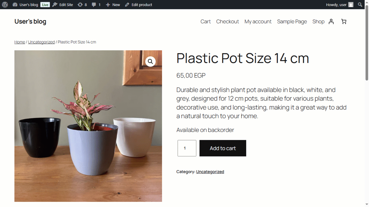 Adding a New Product in WooCommerce — Click on ”Publish”.